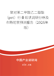 聚對苯二甲酸乙二醇酯（pet）行業(yè)現(xiàn)狀調(diào)研分析及市場前景預(yù)測報告（2026年版）