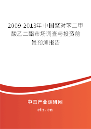 2009-2013年中國(guó)聚對(duì)苯二甲酸乙二酯市場(chǎng)調(diào)查與投資前景預(yù)測(cè)報(bào)告