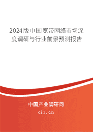2024版中國寬帶網(wǎng)絡(luò)市場深度調(diào)研與行業(yè)前景預(yù)測(cè)報(bào)告