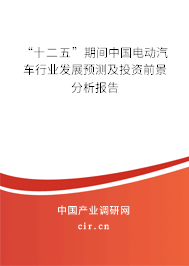 “十二五”期間中國電動(dòng)汽車行業(yè)發(fā)展預(yù)測(cè)及投資前景分析報(bào)告