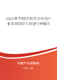 2025年中國無刷無齒電機行業(yè)發(fā)展回顧與展望分析報告