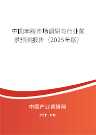 中國苯胺市場調(diào)研與行業(yè)前景預(yù)測報告（2025年版）