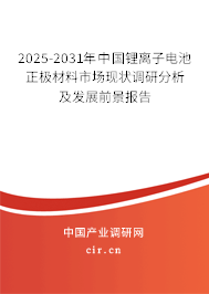 2025-2031年中國(guó)鋰離子電池正極材料市場(chǎng)現(xiàn)狀調(diào)研分析及發(fā)展前景報(bào)告