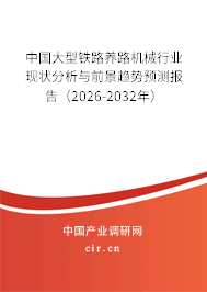 中國(guó)大型鐵路養(yǎng)路機(jī)械行業(yè)現(xiàn)狀分析與前景趨勢(shì)預(yù)測(cè)報(bào)告（2026-2032年）