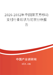 2026-2032年中國第三方移動支付行業(yè)現(xiàn)狀與前景分析報告