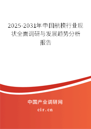 2025-2031年中國航模行業(yè)現(xiàn)狀全面調(diào)研與發(fā)展趨勢分析報告