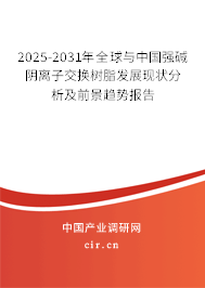 2025-2031年全球與中國強堿陰離子交換樹脂發(fā)展現(xiàn)狀分析及前景趨勢報告