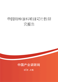 中國特種涂料項目可行性研究報告