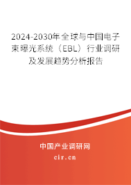 2024-2030年全球與中國電子束曝光系統(tǒng)（EBL）行業(yè)調(diào)研及發(fā)展趨勢分析報告