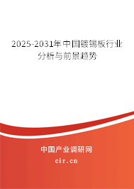 2025-2031年中國鍍錫板行業(yè)分析與前景趨勢 2025-2031年中國鍍錫板行業(yè)分析與前景趨勢