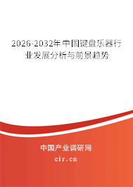 2026-2032年中國(guó)鍵盤(pán)樂(lè)器行業(yè)發(fā)展分析與前景趨勢(shì)
