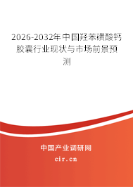2025-2031年中國(guó)羥苯磺酸鈣膠囊行業(yè)現(xiàn)狀與市場(chǎng)前景預(yù)測(cè) 2025-2031年中國(guó)羥苯磺酸鈣膠囊行業(yè)現(xiàn)狀與市場(chǎng)前景預(yù)測(cè)