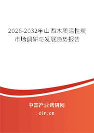 2026-2032年山西木質(zhì)活性炭市場調(diào)研與發(fā)展趨勢報(bào)告