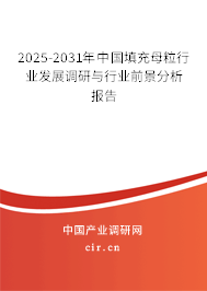 2025-2031年中國填充母粒行業(yè)發(fā)展調研與行業(yè)前景分析報告