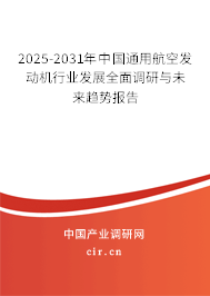 2025-2031年中國通用航空發(fā)動機行業(yè)發(fā)展全面調(diào)研與未來趨勢報告