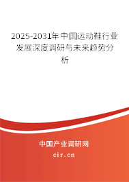2025-2031年中國運(yùn)動鞋行業(yè)發(fā)展深度調(diào)研與未來趨勢分析