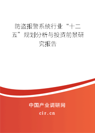 防盜報(bào)警系統(tǒng)行業(yè)“十二五”規(guī)劃分析與投資前景研究報(bào)告