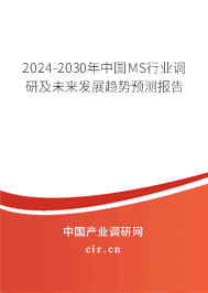 2023-2029年中國(guó)MS行業(yè)調(diào)研及未來(lái)發(fā)展趨勢(shì)預(yù)測(cè)報(bào)告