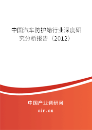 中國汽車防護(hù)蠟行業(yè)深度研究分析報(bào)告（2012）