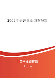 2009年棗莊企業(yè)調(diào)查報(bào)告