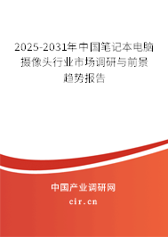 2026-2032年中國筆記本電腦攝像頭行業(yè)市場調(diào)研與前景趨勢報告
