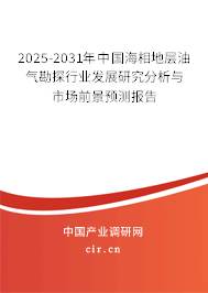 2025-2031年中國海相地層油氣勘探行業(yè)發(fā)展研究分析與市場前景預(yù)測報(bào)告 2025-2031年中國海相地層油氣勘探行業(yè)發(fā)展研究分析與市場前景預(yù)測報(bào)告