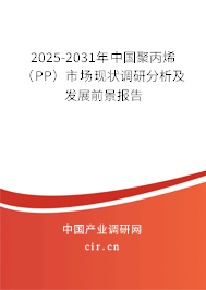 2025-2031年中國聚丙烯（PP）市場現(xiàn)狀調(diào)研分析及發(fā)展前景報(bào)告