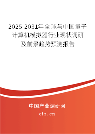 2025-2031年全球與中國量子計算機模擬器行業(yè)現(xiàn)狀調(diào)研及前景趨勢預(yù)測報告