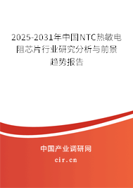 2025-2031年中國(guó)NTC熱敏電阻芯片行業(yè)研究分析與前景趨勢(shì)報(bào)告