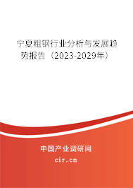 寧夏粗鋼行業(yè)分析與發(fā)展趨勢報告（2023-2029年）
