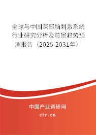 全球與中國(guó)深部腦刺激系統(tǒng)行業(yè)研究分析及前景趨勢(shì)預(yù)測(cè)報(bào)告（2026-2032年）