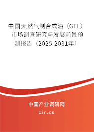 中國天然氣制合成油（GTL）市場調查研究與發(fā)展前景預測報告（2025-2031年）