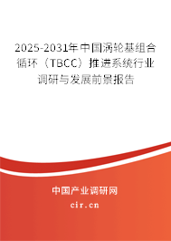 2025-2031年中國渦輪基組合循環(huán)（TBCC）推進(jìn)系統(tǒng)行業(yè)調(diào)研與發(fā)展前景報(bào)告