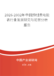 2025-2031年中國預(yù)付費(fèi)電能表行業(yè)發(fā)展研究與前景分析報(bào)告