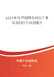 2025年版中國(guó)橡膠制品產(chǎn)業(yè)發(fā)展回顧與展望報(bào)告
