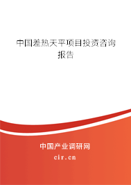 中國差熱天平項目投資咨詢報告 中國差熱天平項目投資咨詢報告