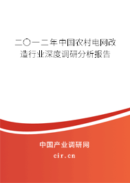 二〇一二年中國農(nóng)村電網(wǎng)改造行業(yè)深度調(diào)研分析報告