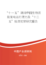 “十一五”期間中國生物質(zhì)能發(fā)電運(yùn)行潛力及“十二五”投資前景研究報告