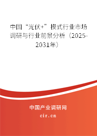 中國“光伏+”模式行業(yè)市場(chǎng)調(diào)研與行業(yè)前景分析(2025-2031年) 中國“光伏+”模式行業(yè)市場(chǎng)調(diào)研與行業(yè)前景分析(2025-2031年)