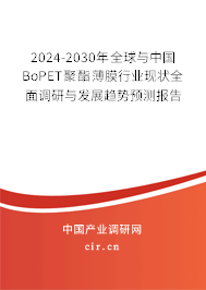 2024-2030年全球與中國(guó)BoPET聚酯薄膜行業(yè)現(xiàn)狀全面調(diào)研與發(fā)展趨勢(shì)預(yù)測(cè)報(bào)告
