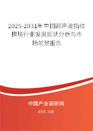 2024-2030年中國超聲波指紋模塊行業(yè)發(fā)展現(xiàn)狀分析與市場前景報(bào)告