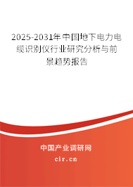 2025-2031年中國地下電力電纜識別儀行業(yè)研究分析與前景趨勢報告 2025-2031年中國地下電力電纜識別儀行業(yè)研究分析與前景趨勢報告