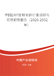 中國ERP管理軟件行業(yè)調(diào)研與前景趨勢(shì)報(bào)告（2025-2031年）