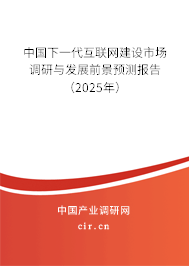 中國(guó)下一代互聯(lián)網(wǎng)建設(shè)市場(chǎng)調(diào)研與發(fā)展前景預(yù)測(cè)報(bào)告（2025年）