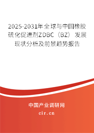 2025-2031年全球與中國橡膠硫化促進(jìn)劑ZDBC（BZ）發(fā)展現(xiàn)狀分析及前景趨勢報告