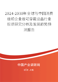 2024-2030年全球與中國消費級和企業(yè)級可穿戴設(shè)備行業(yè)現(xiàn)狀研究分析及發(fā)展趨勢預(yù)測報告