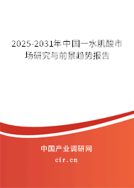 2025-2031年中國一水肌酸市場研究與前景趨勢報告 2025-2031年中國一水肌酸市場研究與前景趨勢報告
