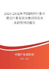 2025-2031年中國制藥行業(yè)IT建設(shè)行業(yè)發(fā)展全面調(diào)研及未來趨勢預(yù)測報告