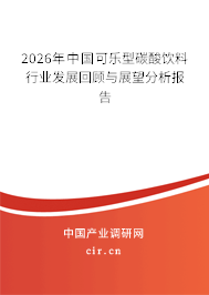 2026年中國(guó)可樂型碳酸飲料行業(yè)發(fā)展回顧與展望分析報(bào)告