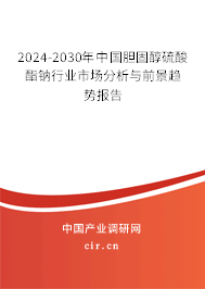 2024-2030年中國膽固醇硫酸酯鈉行業(yè)市場分析與前景趨勢報告